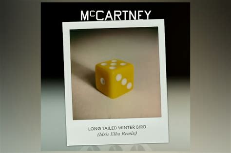 PAUL MCCARTNEY LANÇA A VERSÃO REMIX DA MÚSICA LONG TAILED WINTER BIRD