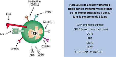 Jle H Matologie Syndrome De S Zary