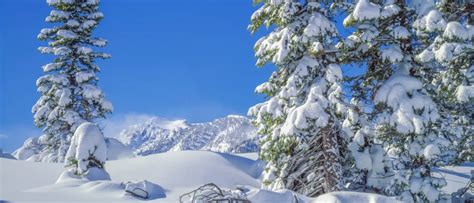 Visit the Snow in California State Parks | Cal Parks