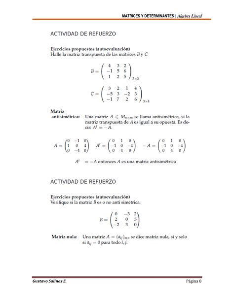 Matrices Y Determinantes PDF