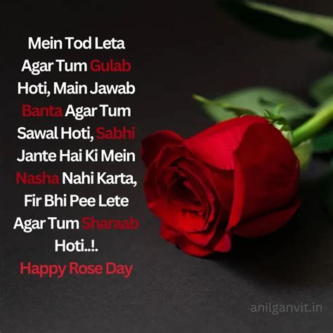 70+ Rose day Shayari in English- 2023 | Gulaab Shayari,Wishes,status ...