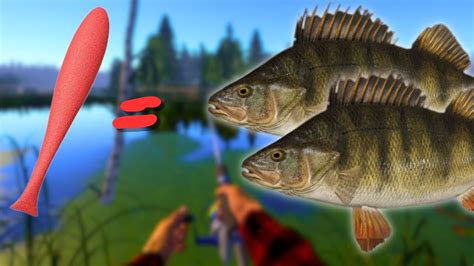 PERCH FARM SPOT IN OLD BURG LAKE 947 Russian Fishing 4 YouTube