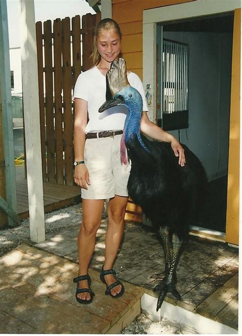 Cassowary with a human girl. Dinosaur, bird, theropod, Australian fauna ...