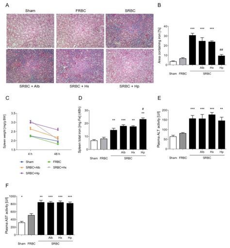 Haptoglobin Or Hemopexin Therapy Prevents Acute Adverse Effects Of