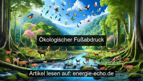 Energiearmut bekämpfen Wie sichern wir Energiezukunft für alle