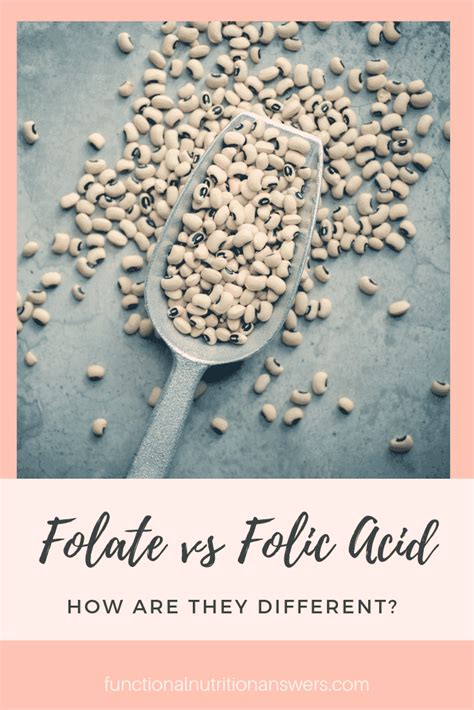 Folate vs Folic Acid: How Are They Different? (Why you should care!)