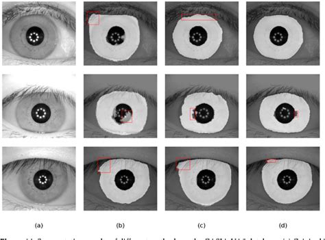 Pdf Towards More Accurate And Complete Heterogeneous Iris