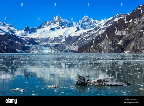 USA, Alaska, Johns Hopkins Glacier in Glacier Bay Stock Photo - Alamy