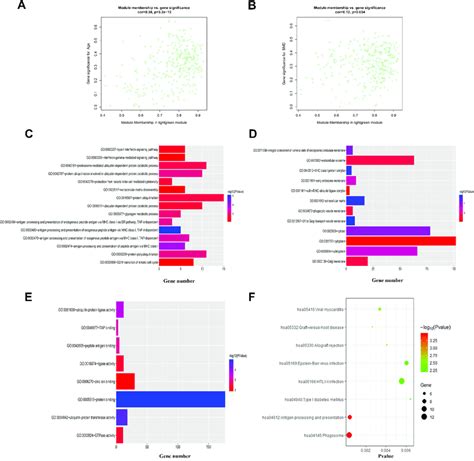 Go Enrichment And Kegg Analyses For Light Green Module A Scatterplot