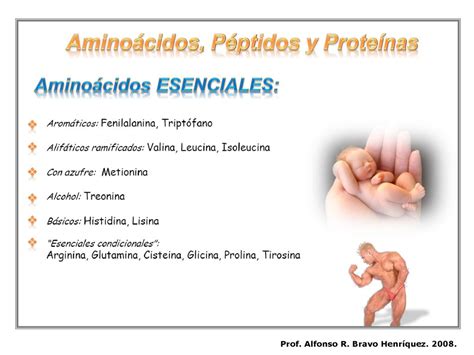 Aminoácidos Péptidos y Proteínas Prof Alfonso R Bravo Henríquez