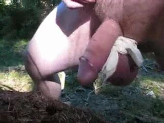 Stinging Ants Biting On Cock Gay Porn Xhamster