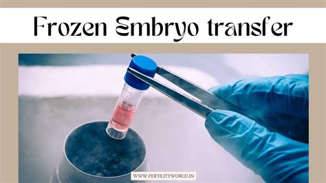 Frozen Embryo Transfer Fertilityworld