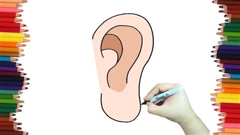 Como Dibujar Una Oreja De Forma F Cil Youtube