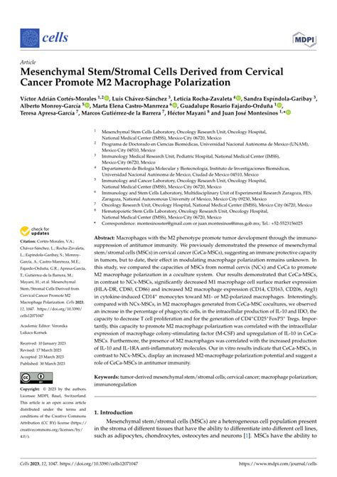 PDF Mesenchymal Stem Stromal Cells Derived From Cervical Cancer