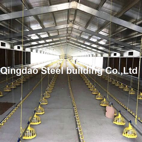 Modern Design Prefabricated Glavanized Steel Structure Poultry Farm