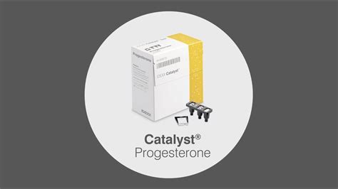 Idexx Catalyst Progesterone Youtube