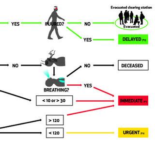 Salt Triage Diagram