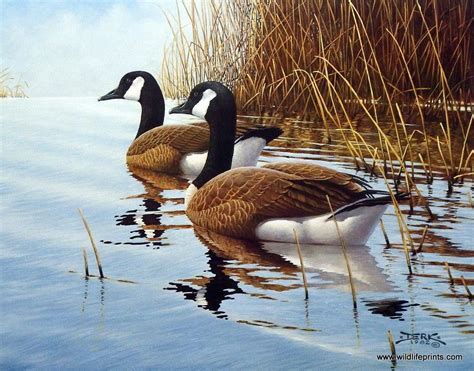 Artist Derk Hansen Unframed Geese Art Print Pause From The Journey