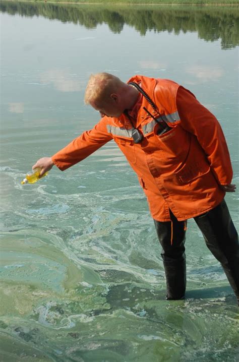 Blaualgen Alarm Am Mechower See Baden Verboten Svz