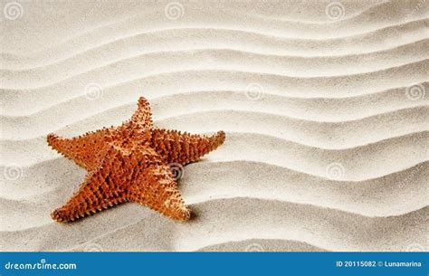 Beach White Wavy Sand Starfish Summer Vacation Stock Photo Image Of