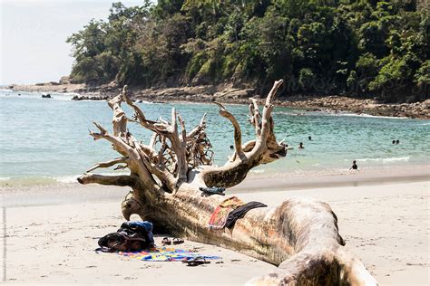 Beach Costa Rica By Stocksy Contributor Mental Art Design Stocksy