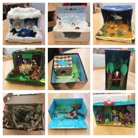 Class 2s Shoebox Habitats Aberford C Of E Vc Primary School