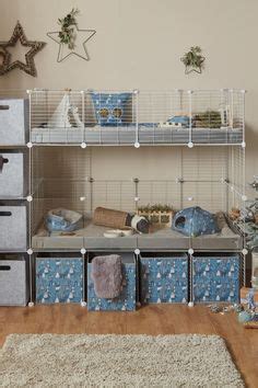 The Ultimate Guide To Cc Cages For Guinea Pigs Kavee Usa Off