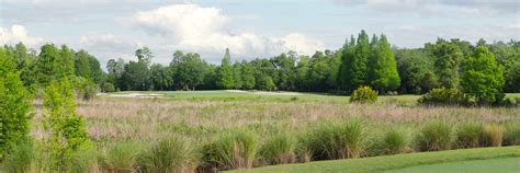 Ritz-Carlton Orlando No. 8 | Stonehouse Golf