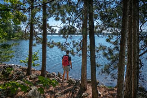 Reasons To Visit Fairbank Provincial Park Parks Blog