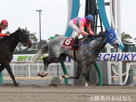 【中京11r東海s】テイエムジンソクが人気に応え逃げ切る 競馬ニュースなら競馬のおはなし