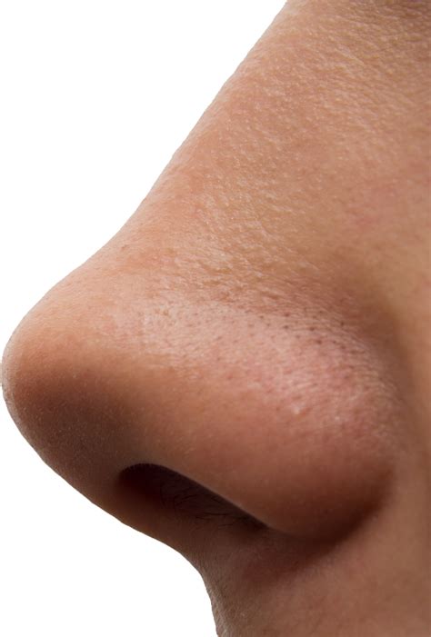 Human Nose Png