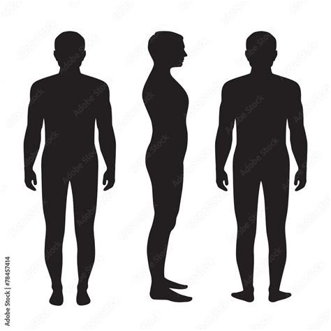 Human Body Anatomy Vector Man Silhouette Front Back Side Stock Vector