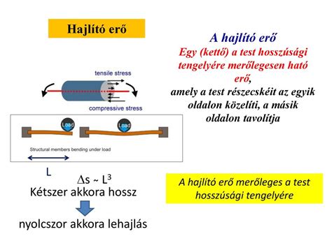 A mozgatórendszerre ható erők ppt letölteni