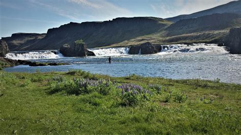 river nordura fishing iceland fishing  iceland atlantic salmon