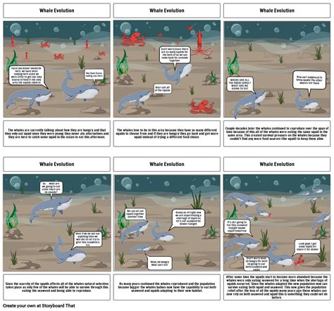 Whale Evolution Storyboard Storyboard By 6f8c05b3