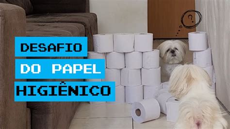 Desafio Do Papel HigiÊnico Youtube