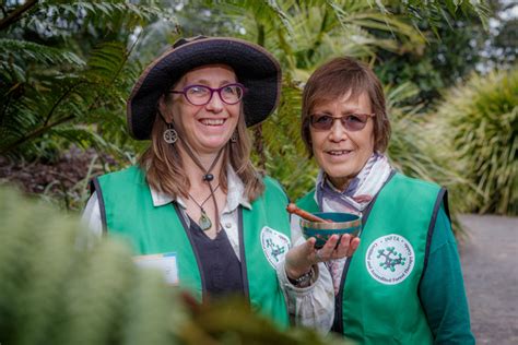 Natures Healing Path Awaits Dandenong Star Journal