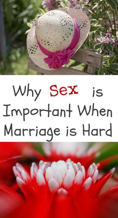 Why Sex Is Important When Marriage Is Hard My Windowsill