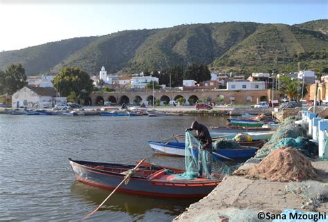 Ramsar Announces First 18 Wetland Cities Wwf