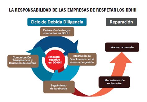 Las Necesidades Empresariales Para La Debida Diligencia En Derechos