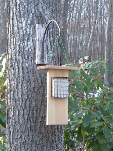 How to Feed Birds in Winter: Bird Feeders, Shelter and Drinking Water ...