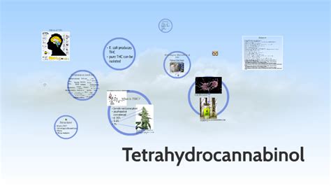 Biosynthesis of Tetrahydrocannabinol by Selina Münster