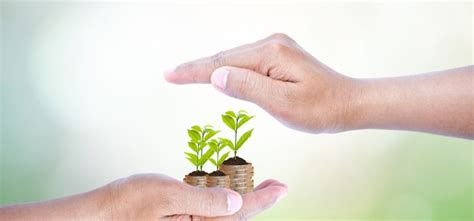 sustainable investment continues  grow  ethics affect