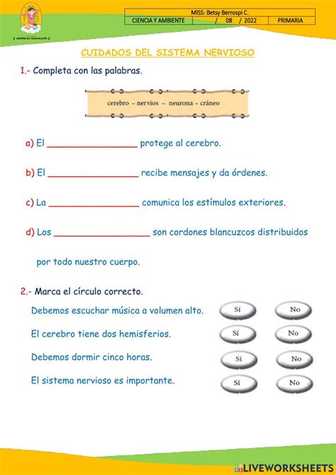 CUIDADO DEL SISTEMA NERVIOSO online exercise for | Live Worksheets 