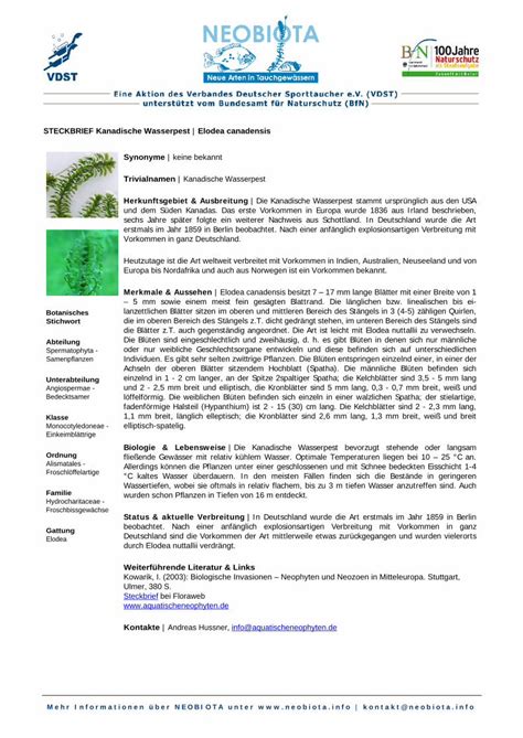 Pdf Steckbrief Neobiota Infoneobiota Info Pdf Elodeacanadensis Pdf