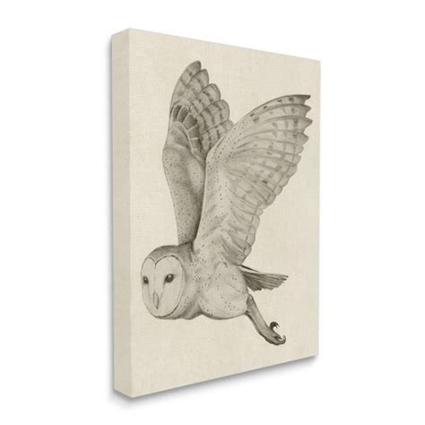 Flying Barn Owl Drawing