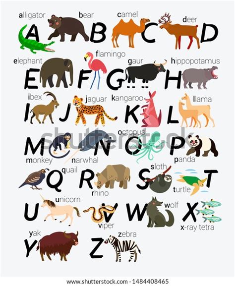 English Animal Alphabet Vector Illustration Stock Vector Royalty Free