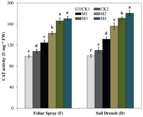Exogenous melatonin confers drought stress by promoting plant growth ... 