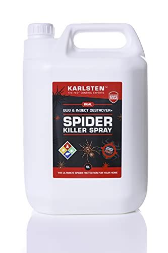 Best Spider Repellent Outdoor July