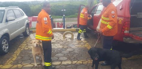 C Es Do Df Que Ajudaram Nos Resgates Em Brumadinho V O Se Aposentar